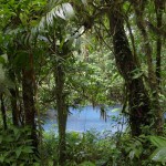 Tenorio Volcano National Park
