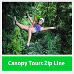 Adventure Zip Line Canopy Tour Zip Line Tour Canopy Tree
