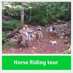 Horseback Riding Costa Rica Tour