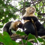 Visting Manuel Antonio