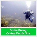 Scuba Diving Costa Rica Jaco Scuba Diving Costa Rica Jaco