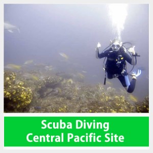 Tours Costa Rica, Scuba Diving Costa Rica Jaco Tours Costa Rica, Scuba Diving Costa Rica Jaco